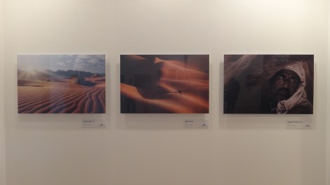 Part of the winner showcase for the Hamdan International Photography Award (HIPA)