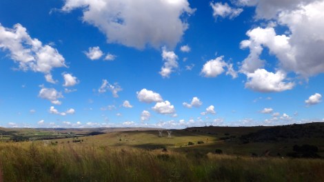 Rhino and Lion Nature Reserve, South Africa