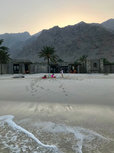 fullsizeoutput_13239